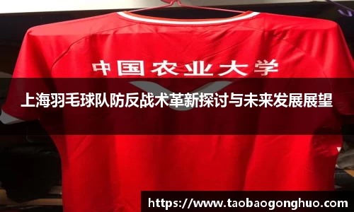 上海羽毛球队防反战术革新探讨与未来发展展望