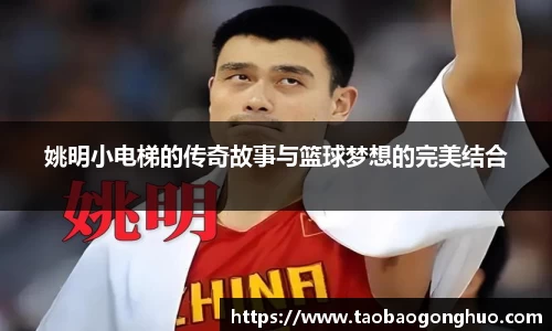 米乐yy易游