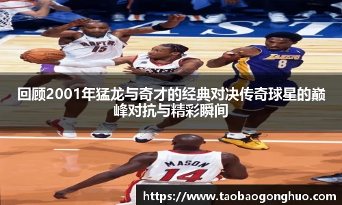 回顾2001年猛龙与奇才的经典对决传奇球星的巅峰对抗与精彩瞬间