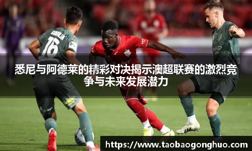 yy易游体育