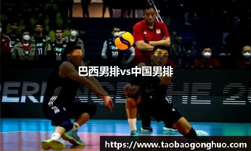 yy体育