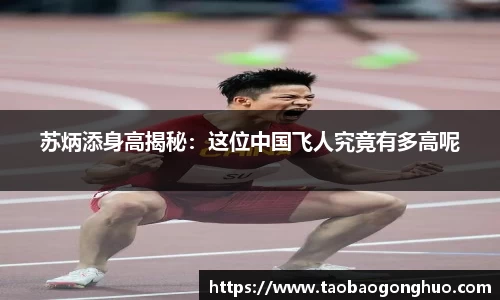 yy易游体育
