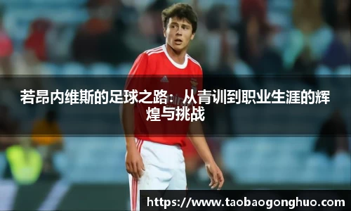 yy体育